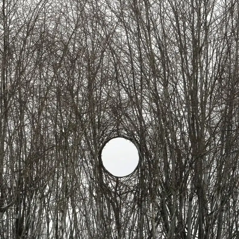 Antti Laitinen Land Art