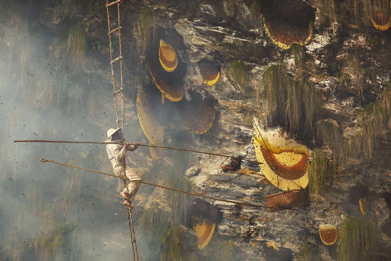"Honey Hunters of Nepal" by Andrew Newey