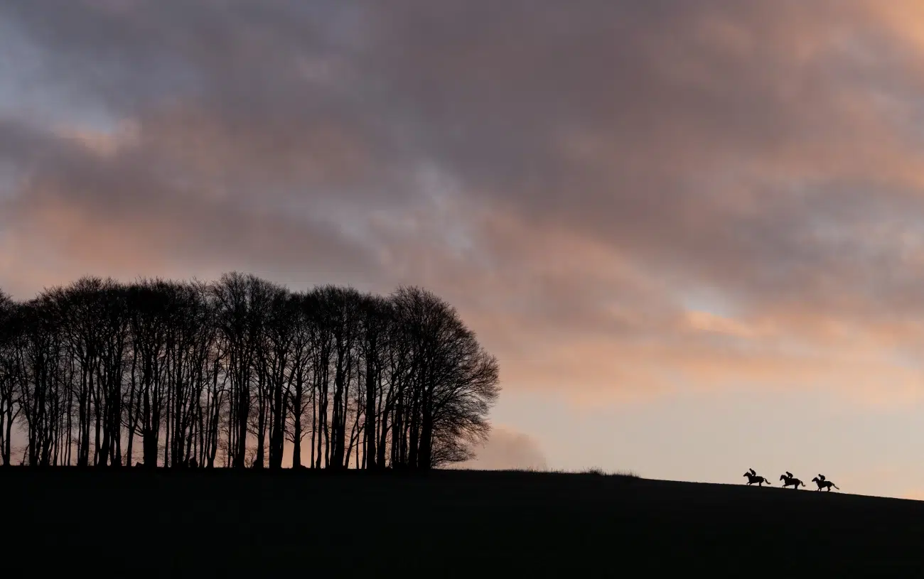 Nicky Henderson's first lot walk canter for the second time up the hill gallop at Seven Barrows in Lambourn