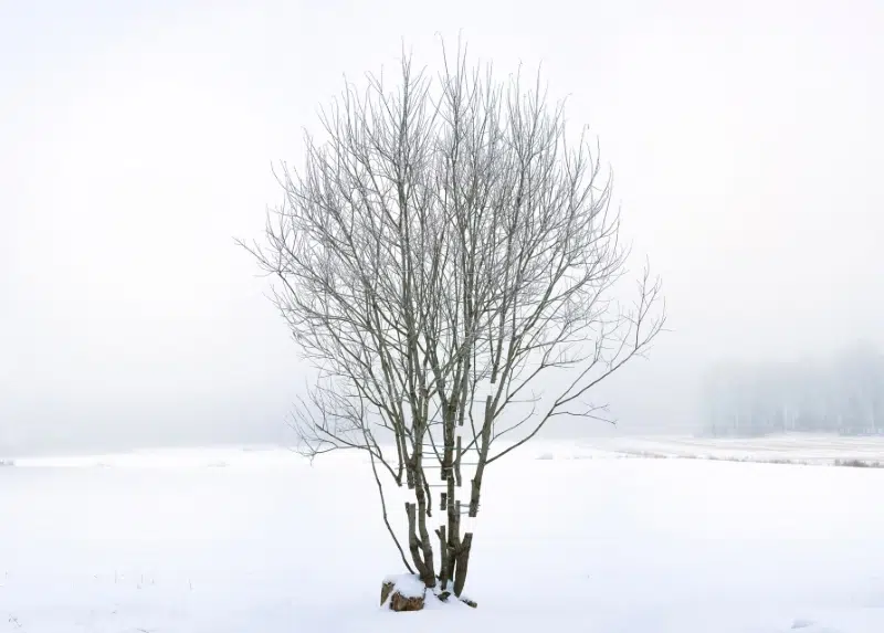 Antti Laitinen Land Art