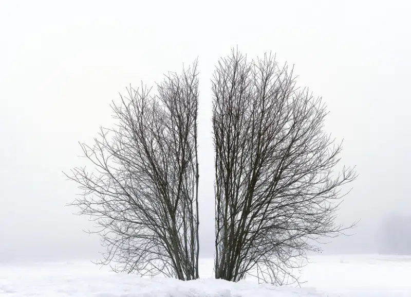 Antti Laitinen Land Art