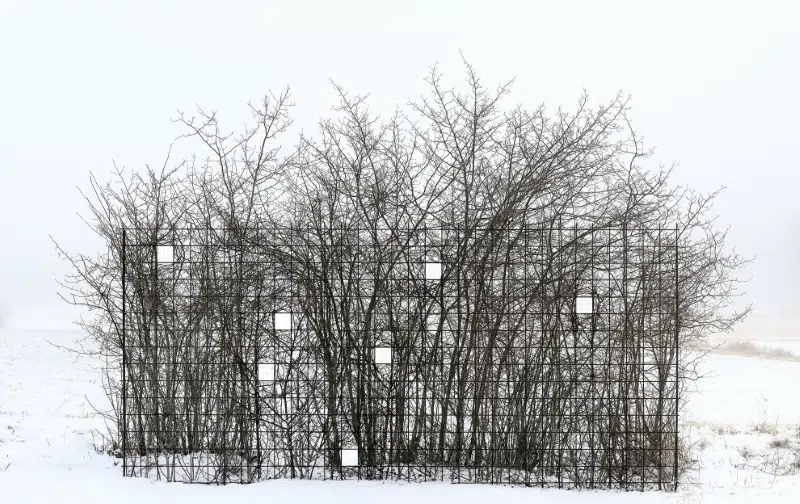 Antti Laitinen Land Art