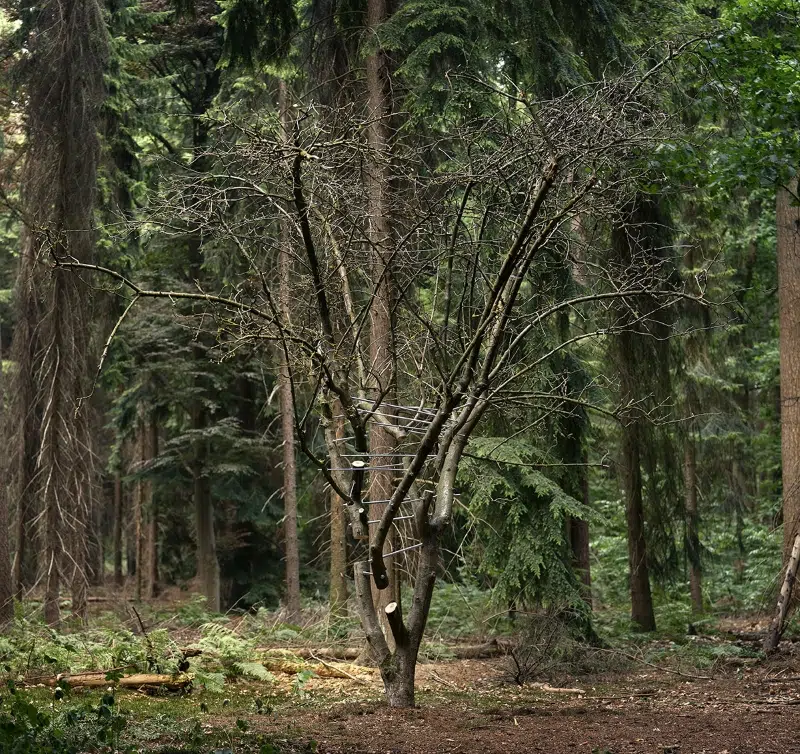 Antti Laitinen Land Art