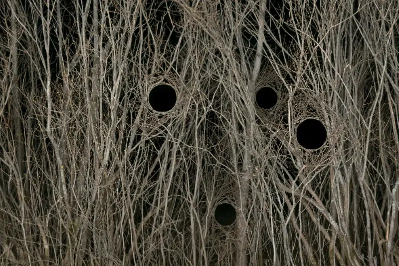 Antti Laitinen Land Art