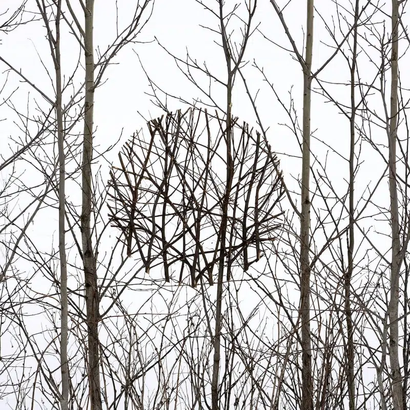 Antti Laitinen Land Art