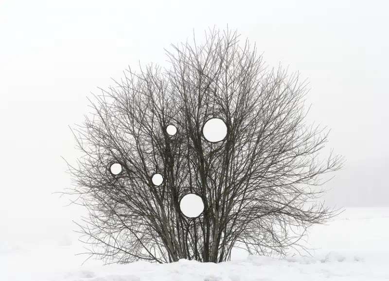 Antti Laitinen Land Art