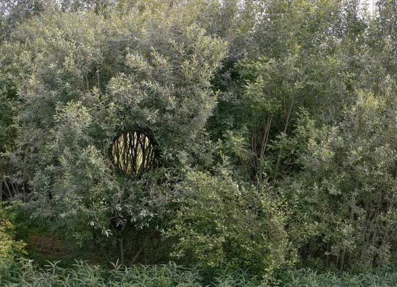 Antti Laitinen Land Art