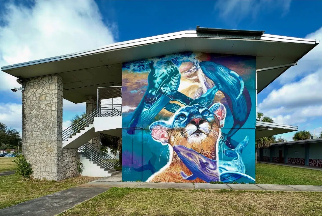 aWall Mural Projects 2024