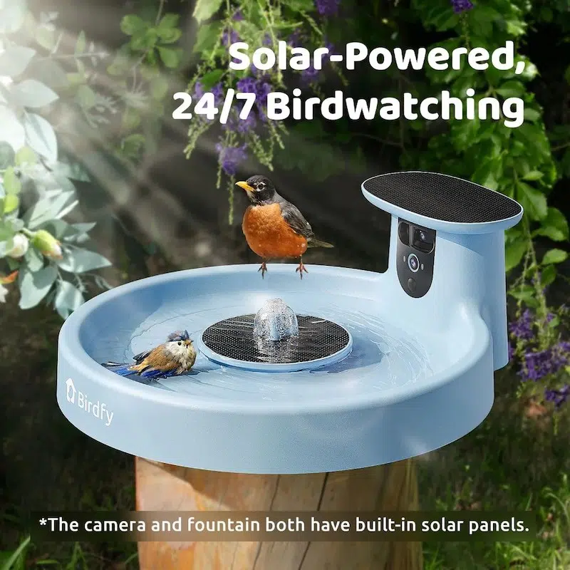 Birdfy Bath Pro